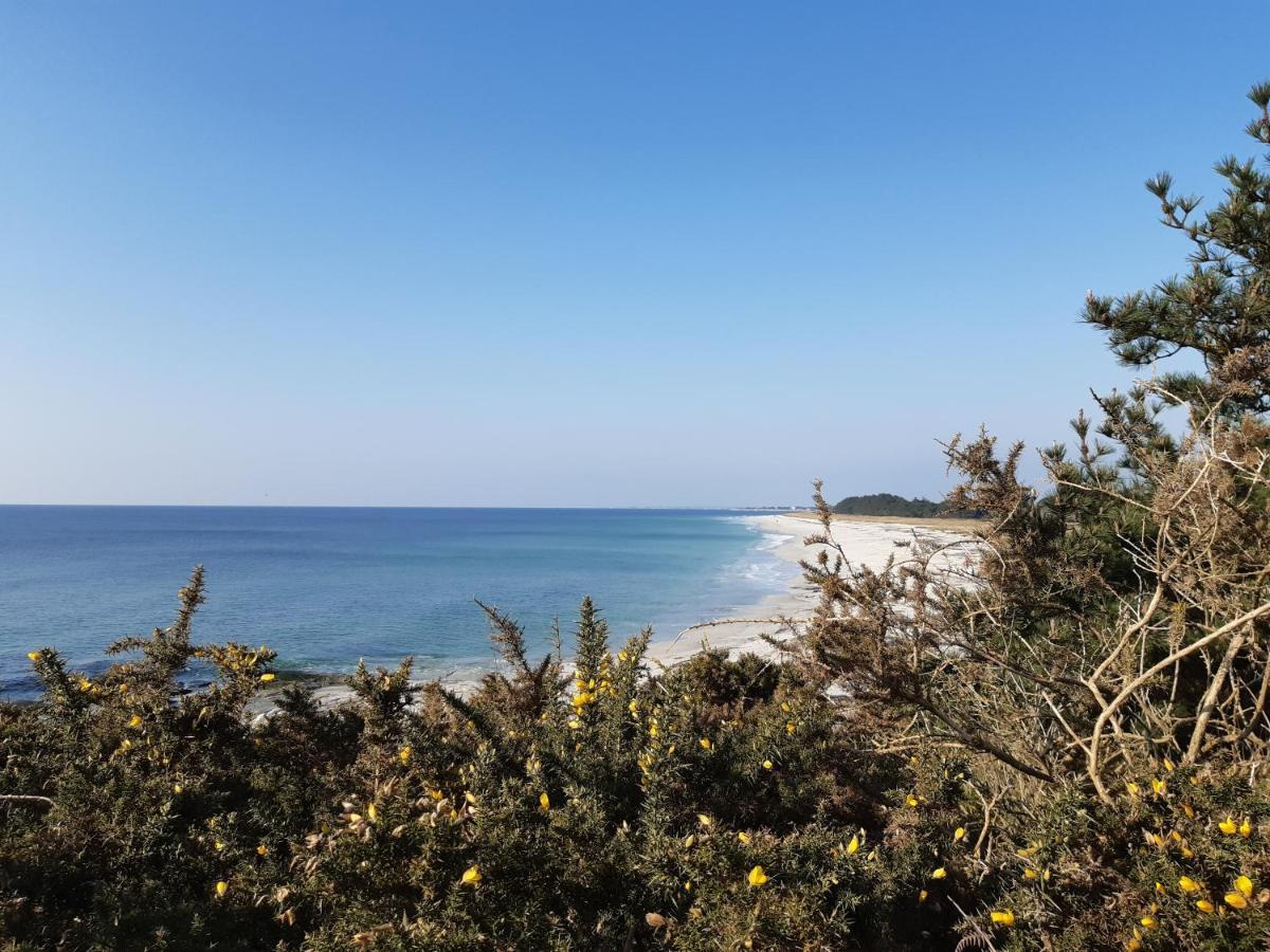 Agape, Elegant T2, 4 Etoiles, Plage Et Gr34 3Km, Centre Ville 750M Fouesnant Zewnętrze zdjęcie